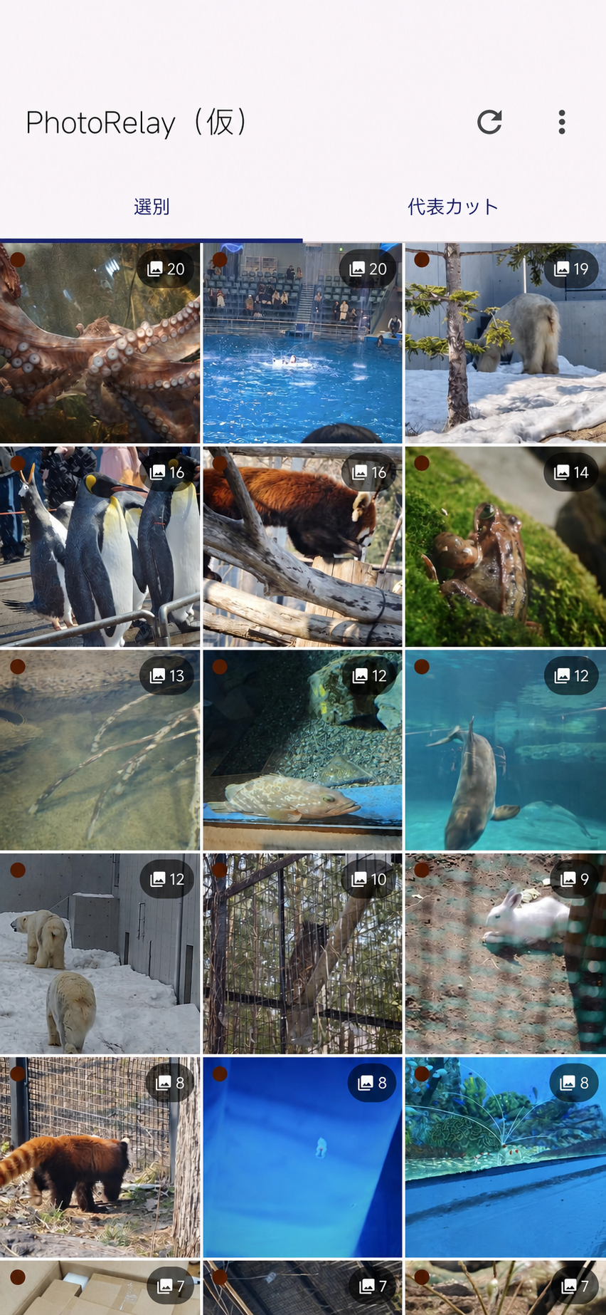PhotoRelayで似た写真をグループごとに一覧表示する画面
