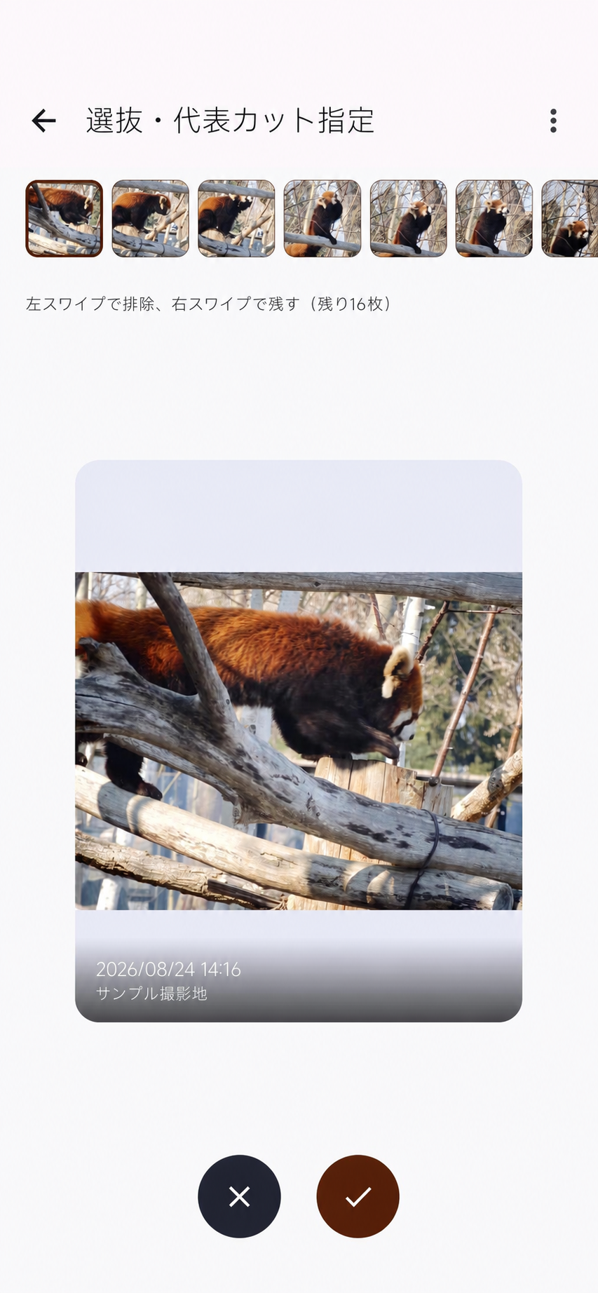 PhotoRelayで写真を左右のスワイプで選別する画面。撮影情報はデモ用です。